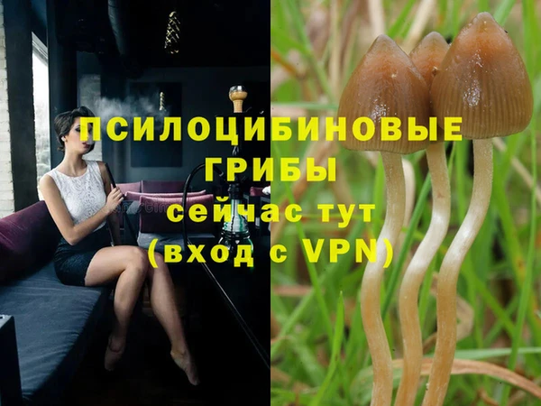 2c-b Абинск